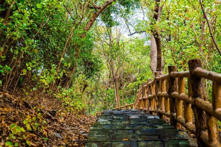 茂林紫蝶生態公園(紫蝶幽谷)