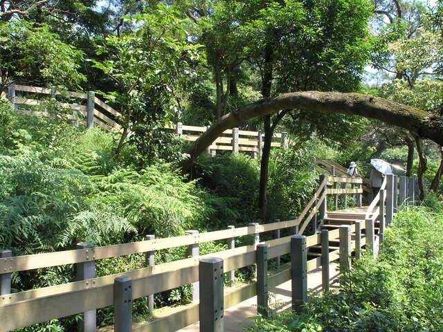 南港山系_虎山親山步道(虎山自然步道_王能佑攝)