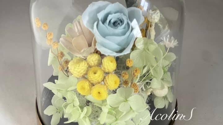 艾可花弄 Acolin S