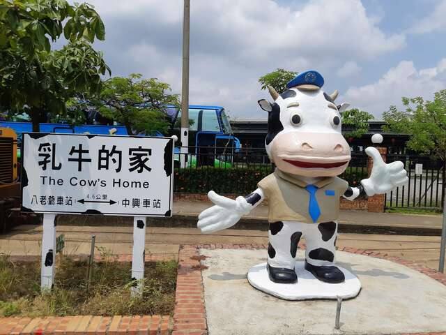 乳牛的家
