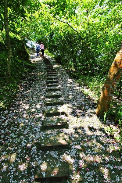 鹿廚坑步道