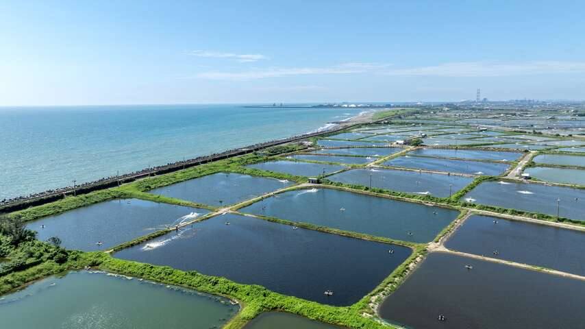 彌陀海濱遊樂區