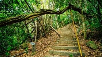 藤坪古道