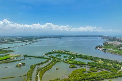 人工溼地公園(濕地俯瞰圖一景)