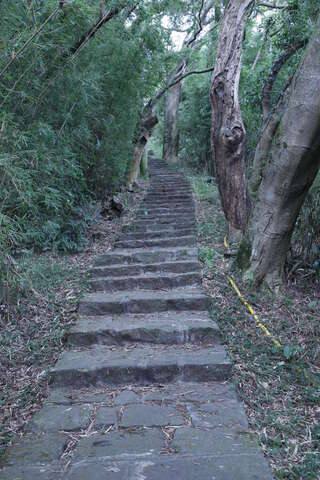 大屯山系_中正山步道(中正山親山步道_攝影/王能佑)