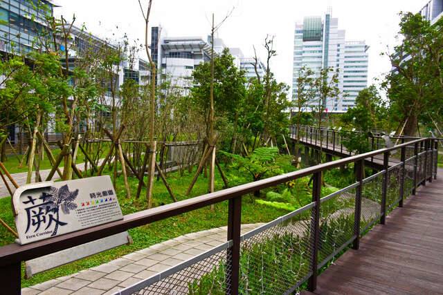 三重世貿公園(世貿公園_蕨類谷地園_攝影/高讚賢)