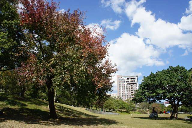 臺北藝術大學(關渡親山步道_許宜容攝)