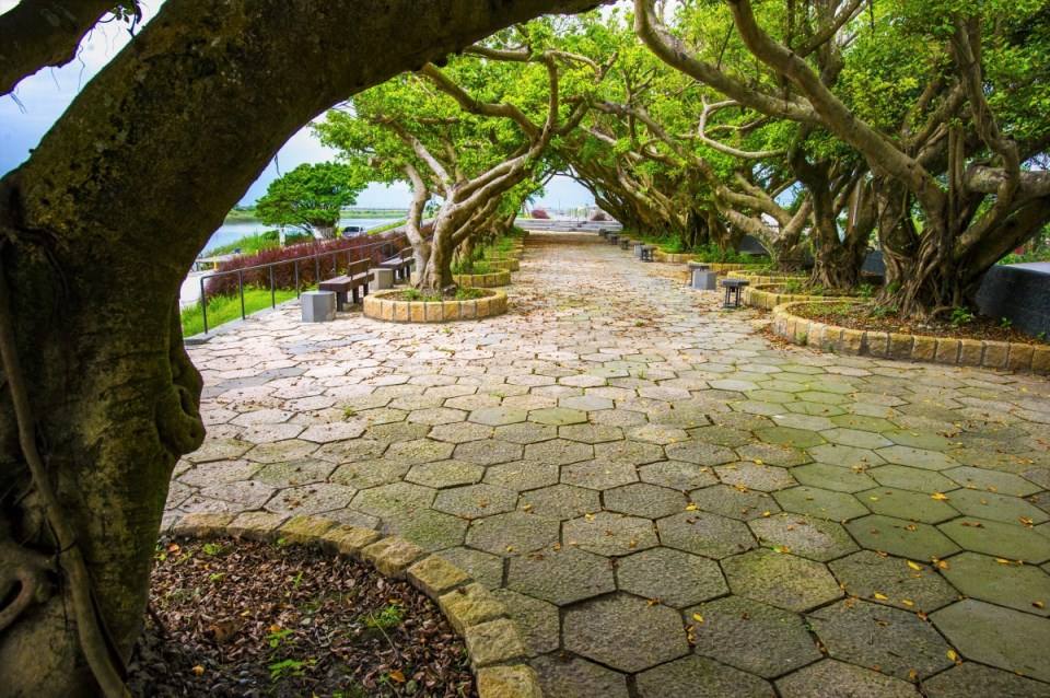 東港榕樹公園(榕樹之道)