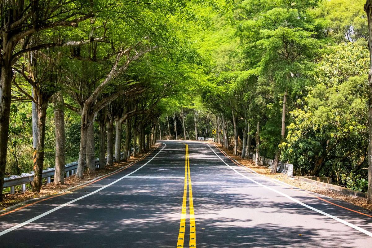 縣139線景觀道路