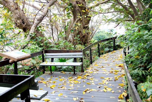 芝山公園(芝山文化生態綠園步道一景_攝影/許宜容)
