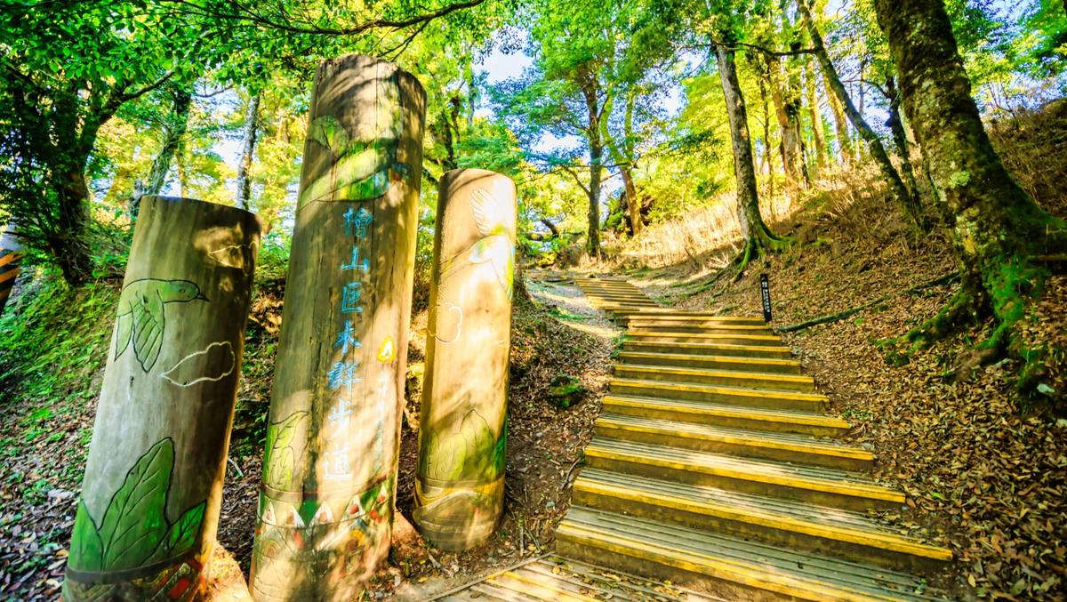 檜山巨木群步道