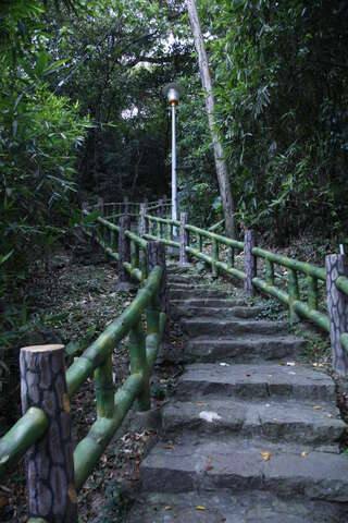 大屯山系_貴子坑親山步道(貴子坑親山步道石階綠蔭林徑_攝影/王能佑)