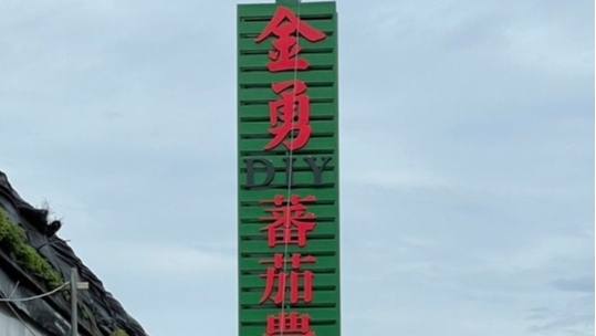 金勇DIY番茄農場