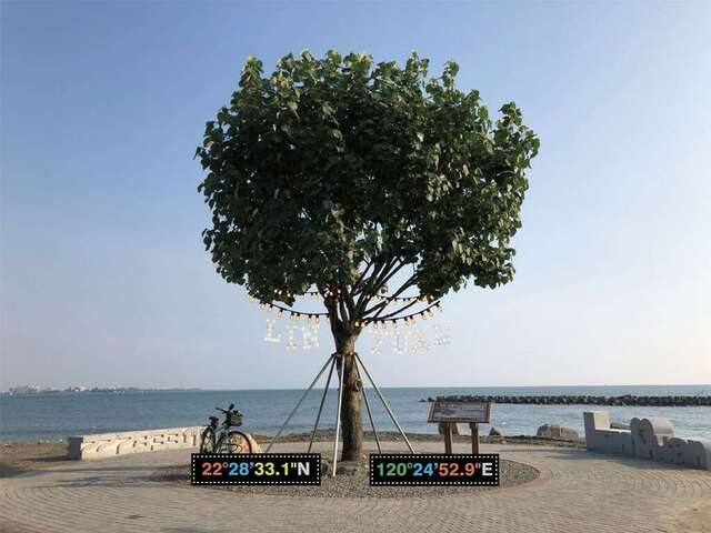 市境之南樹