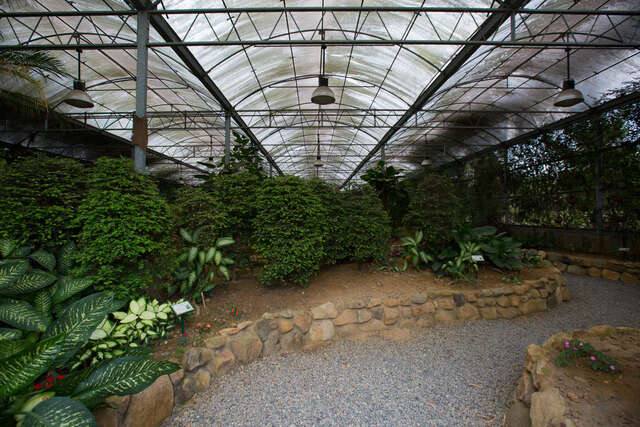 大坪頂熱帶植物園