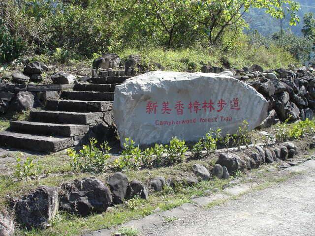新美香樟林步道