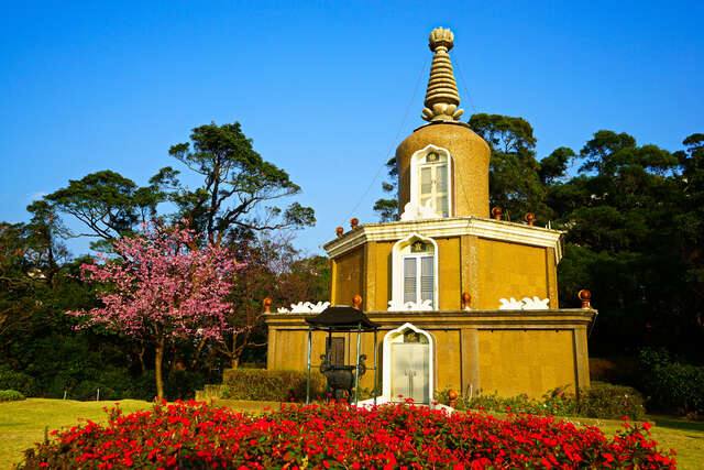 新北投善光寺(北投善光寺緋寒櫻櫻花_高讚賢攝)