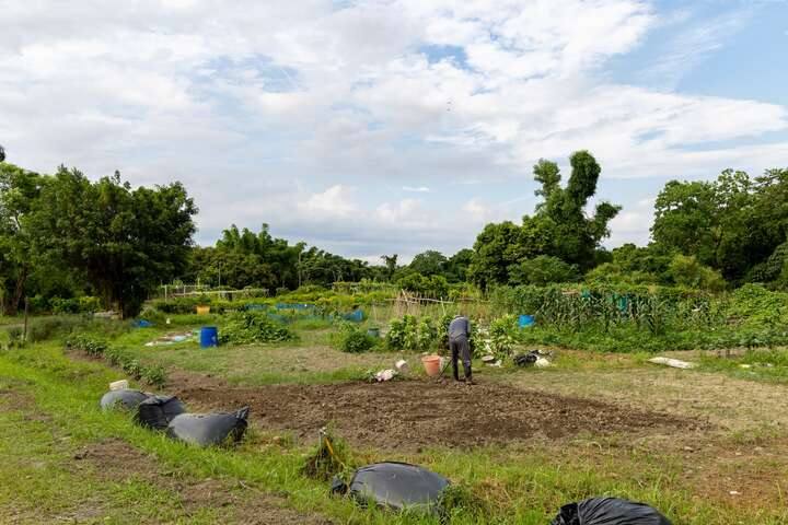 Lipahak三峽野菜園區