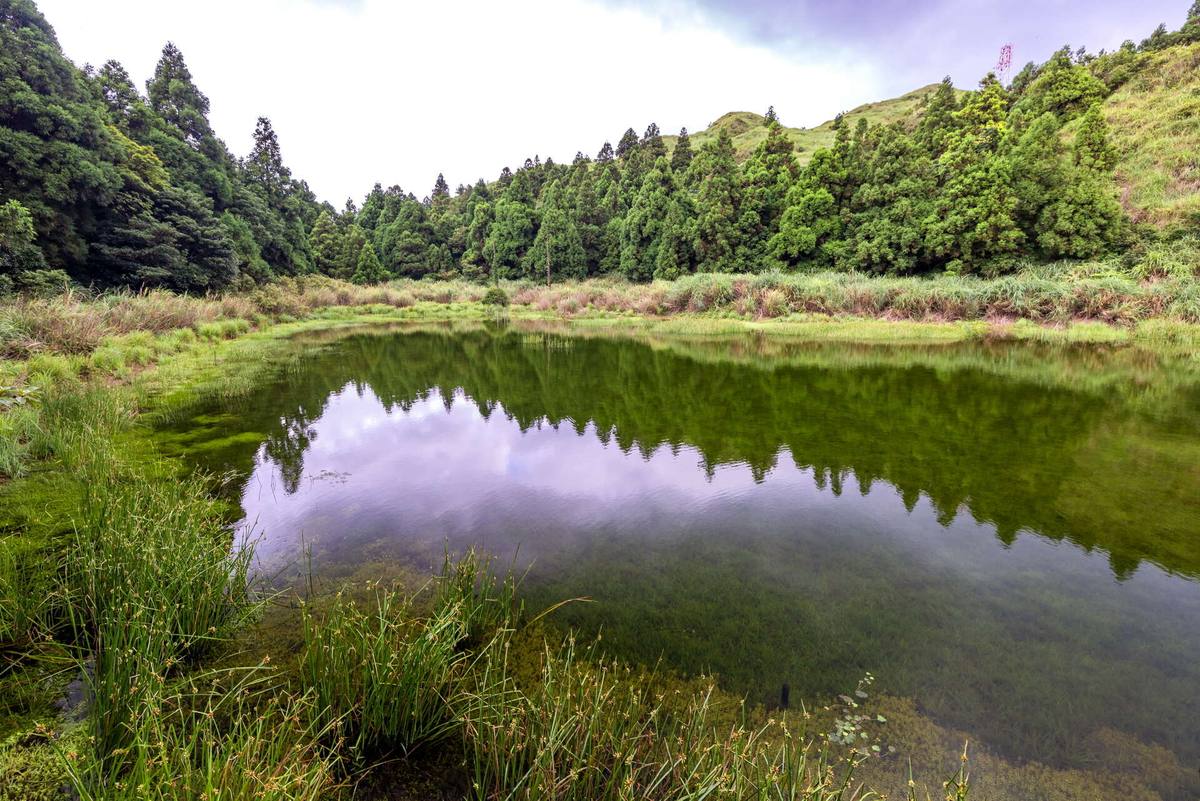 夢幻湖(湖邊生長著各種植物，水面清澈透明，風景如畫)