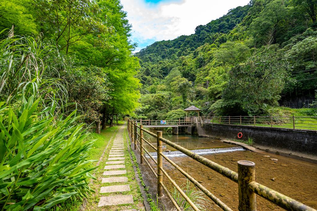 瑪西賞桐步道