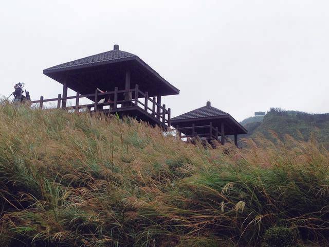 草嶺古道