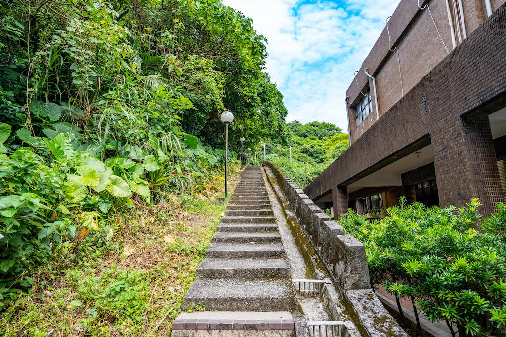 龍崗步道(場地步道近景-1)