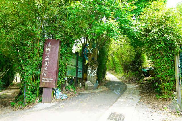 擎天崗系_坪頂古圳步道(坪頂古圳步道_許宜容攝)