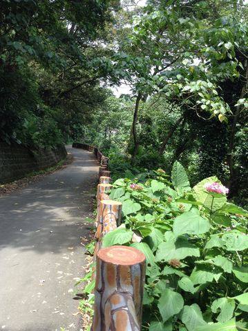 御成路古道