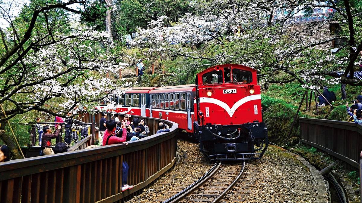 阿里山林業鐵路(櫻花火車)