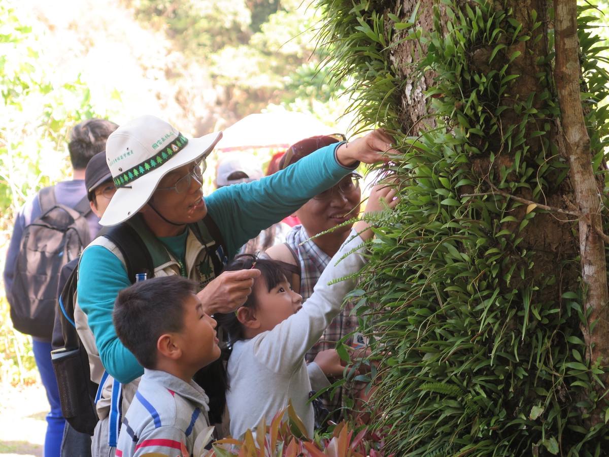 雙流自然教育中心(學生辨識植物)