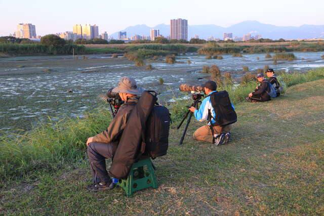 華江雁鴨自然公園