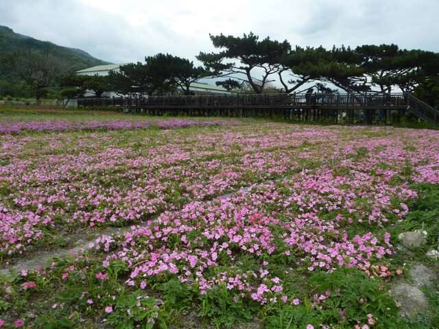 美山驛站