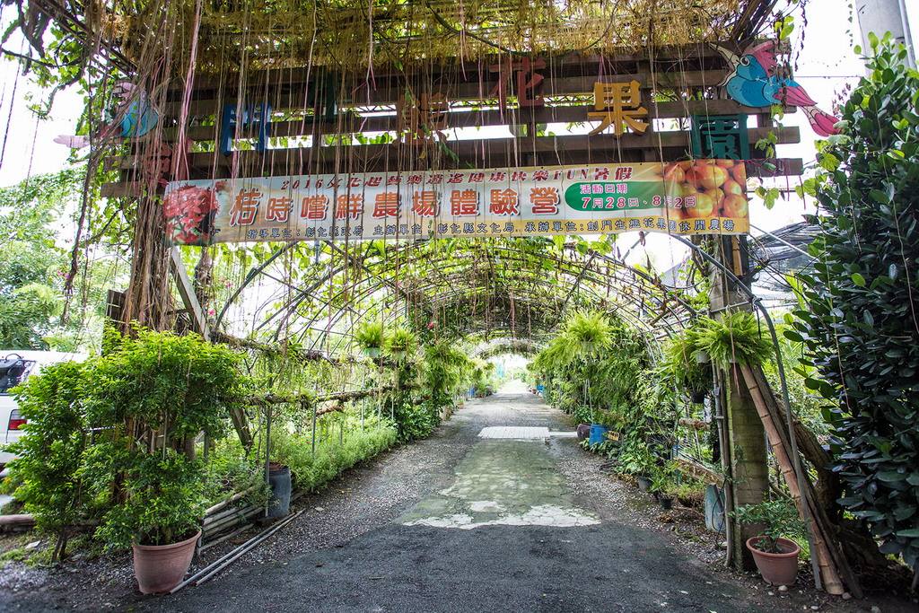 劍門生態花果園