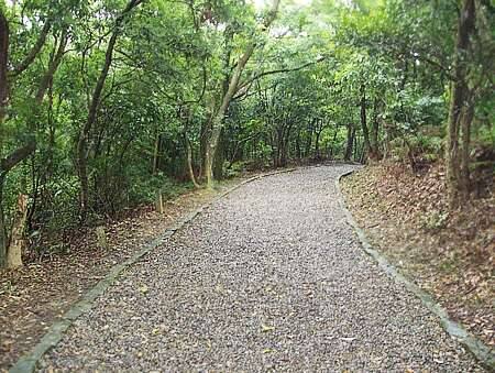 五指山系_大崙頭尾山親山步道(五指山系-大崙頭尾山親山石子步道)