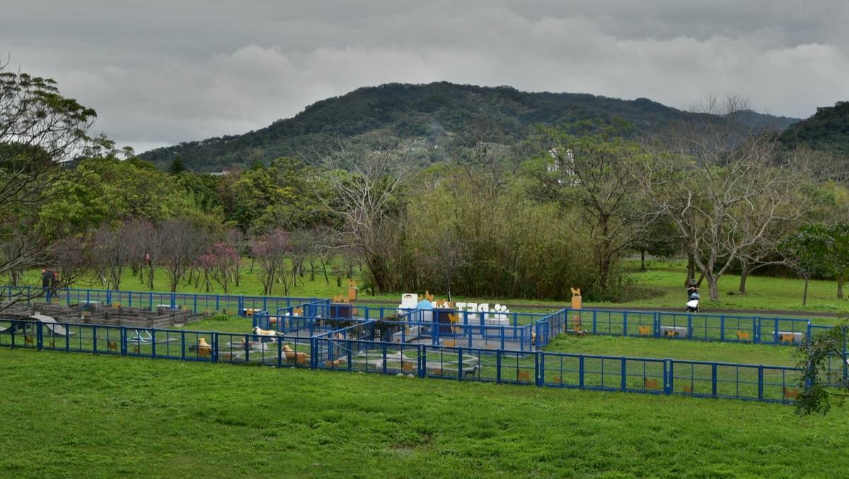 竹東寵物運動公園
