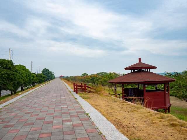 林園紅樹林生態區(紅樹林人工溼地)