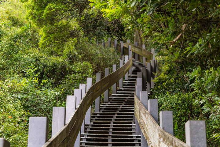 泰山義學坑步道