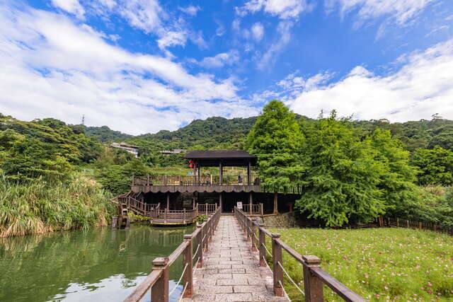 貓空樟樹步道(美麗如畫的風景)