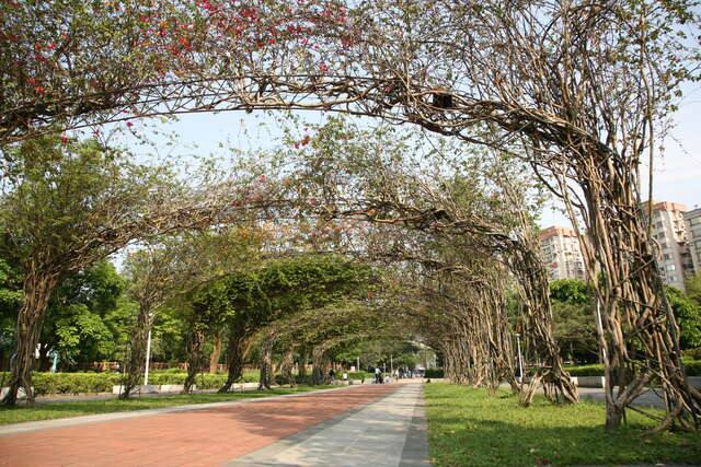 榮星花園公園(榮星公園藤蔓步道_王能佑攝)