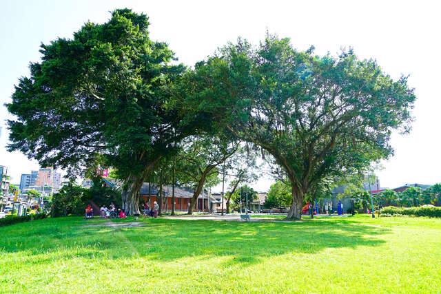 和平青草園_萬華402號公園(和平青草園_公園全景_攝影/高讚賢)