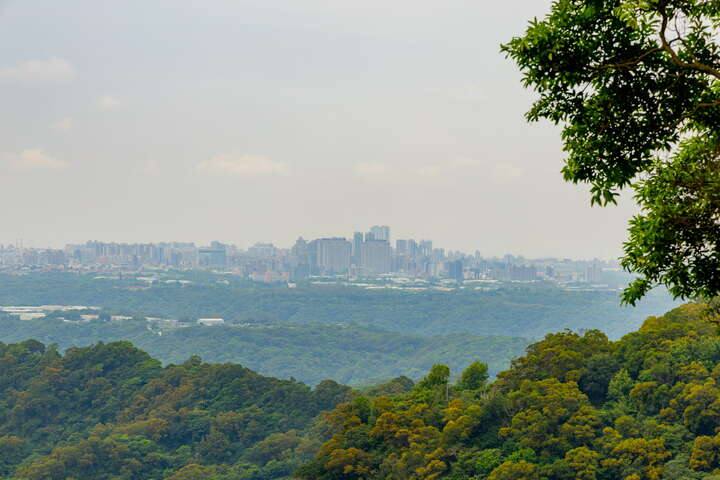 觀音山林梢步道