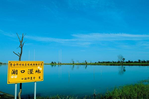 湖口溼地