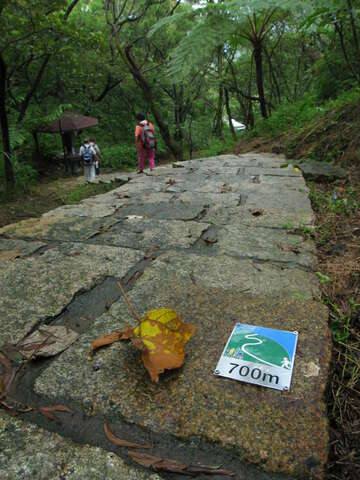 南港山系_麗山橋口親山步道(麗山橋口親山步道一景_攝影/王能佑)