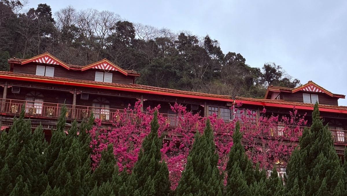萬瑞森林樂園