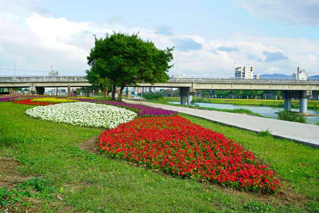 成美右岸河濱公園(成美橋河濱花圃_高讚賢攝)