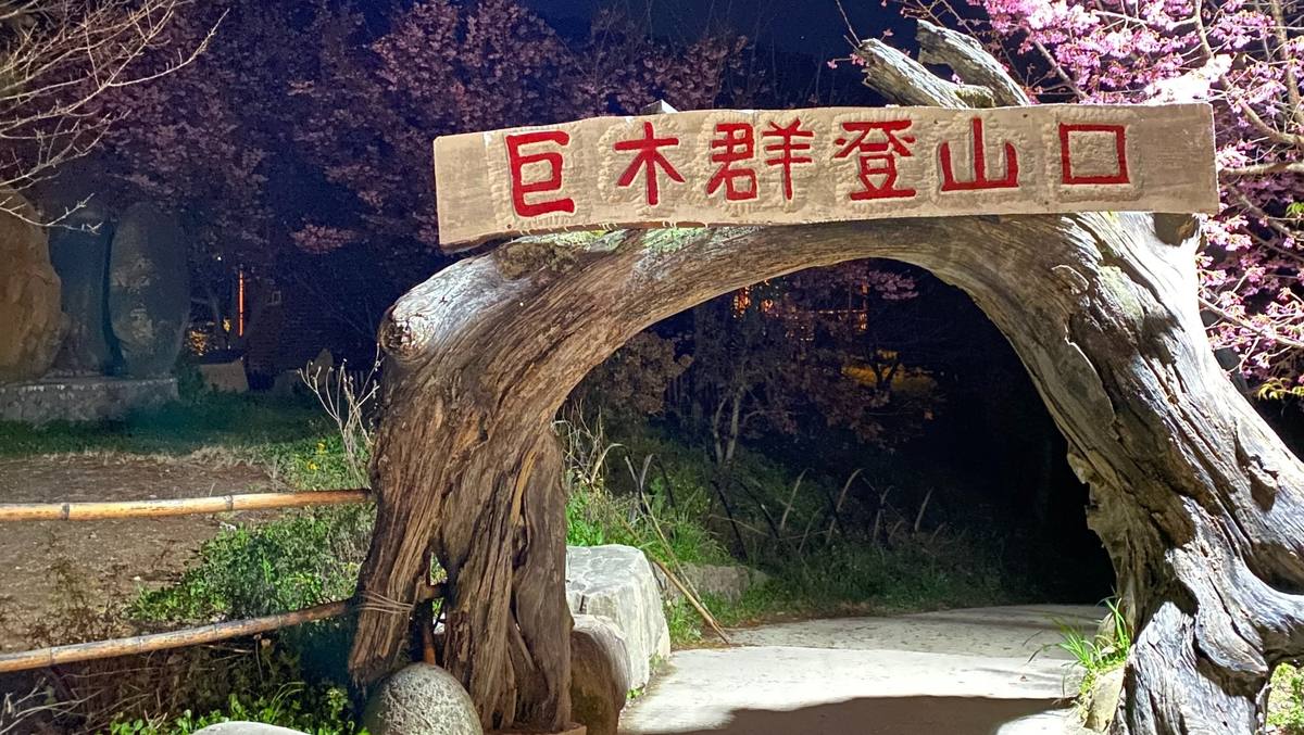 司馬庫斯巨木群步道