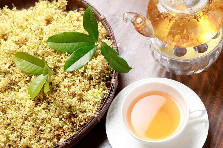 茶鄉桂花農園