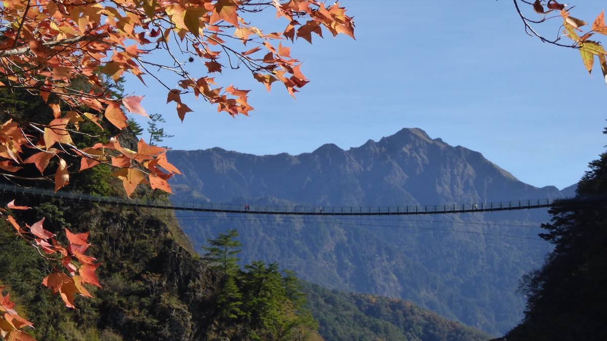奧萬大國家森林遊樂區(奧萬大吊橋.能高南峰.楓香)