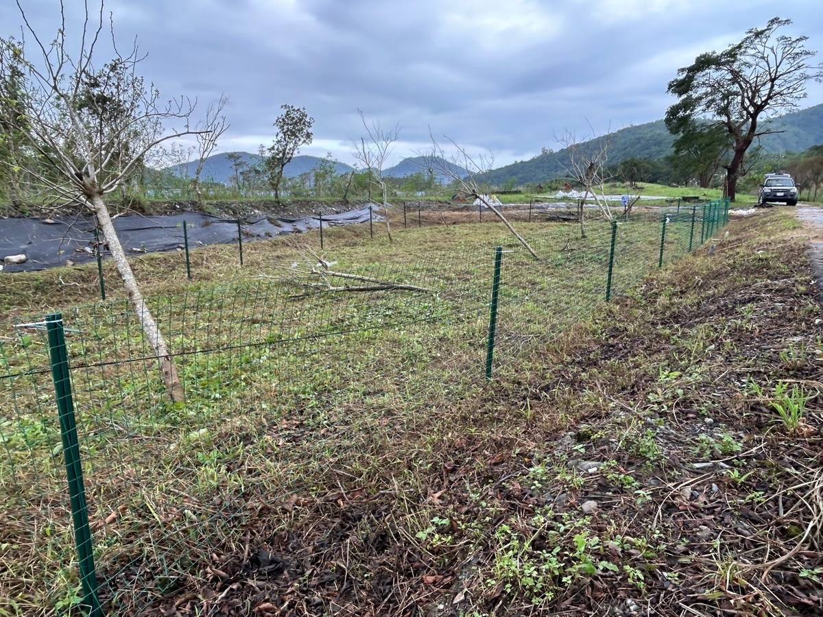 白米木屐村(LINE_ALBUM_一畝田菜園_241221_5)