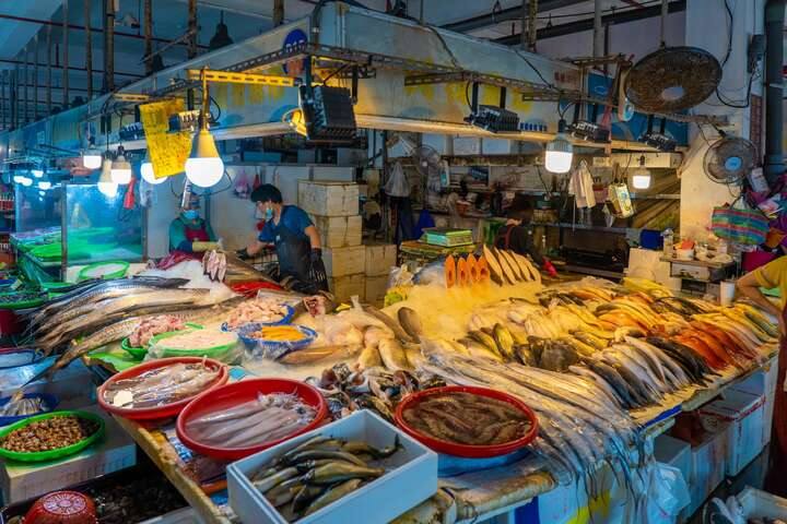 布袋漁港觀光魚市
